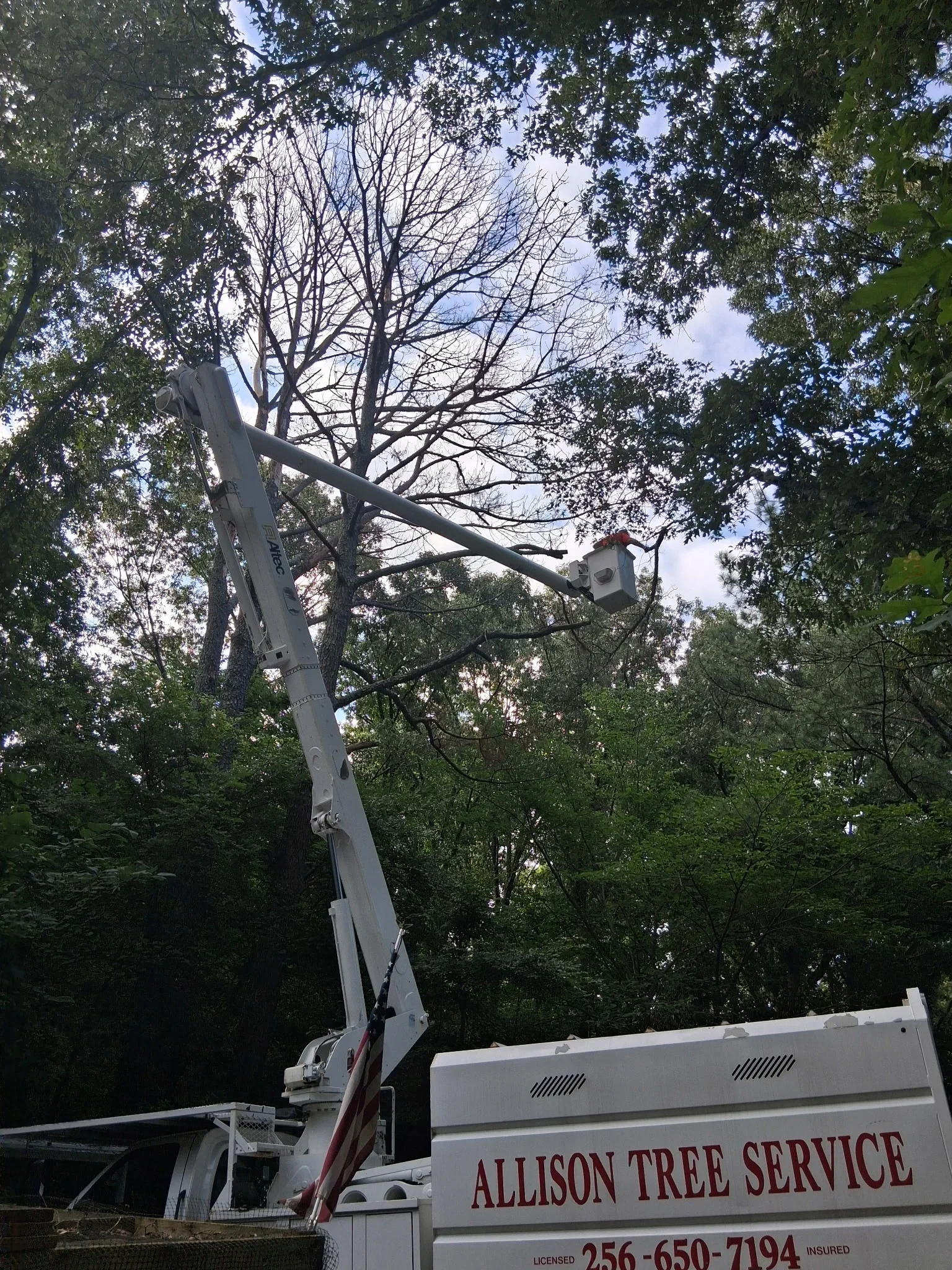 Bucket truck with extended boom removing dead tree branches in wooded residential area