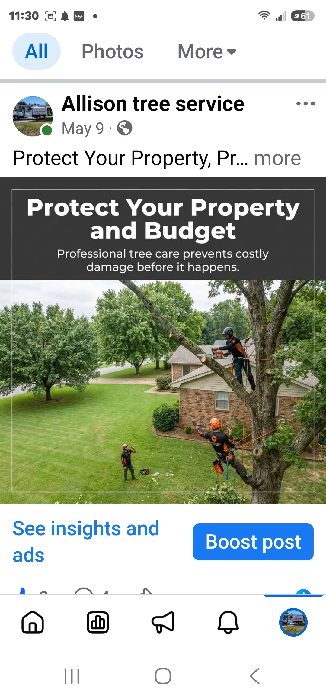 Arborists in safety gear pruning large tree near brick home with residential landscape