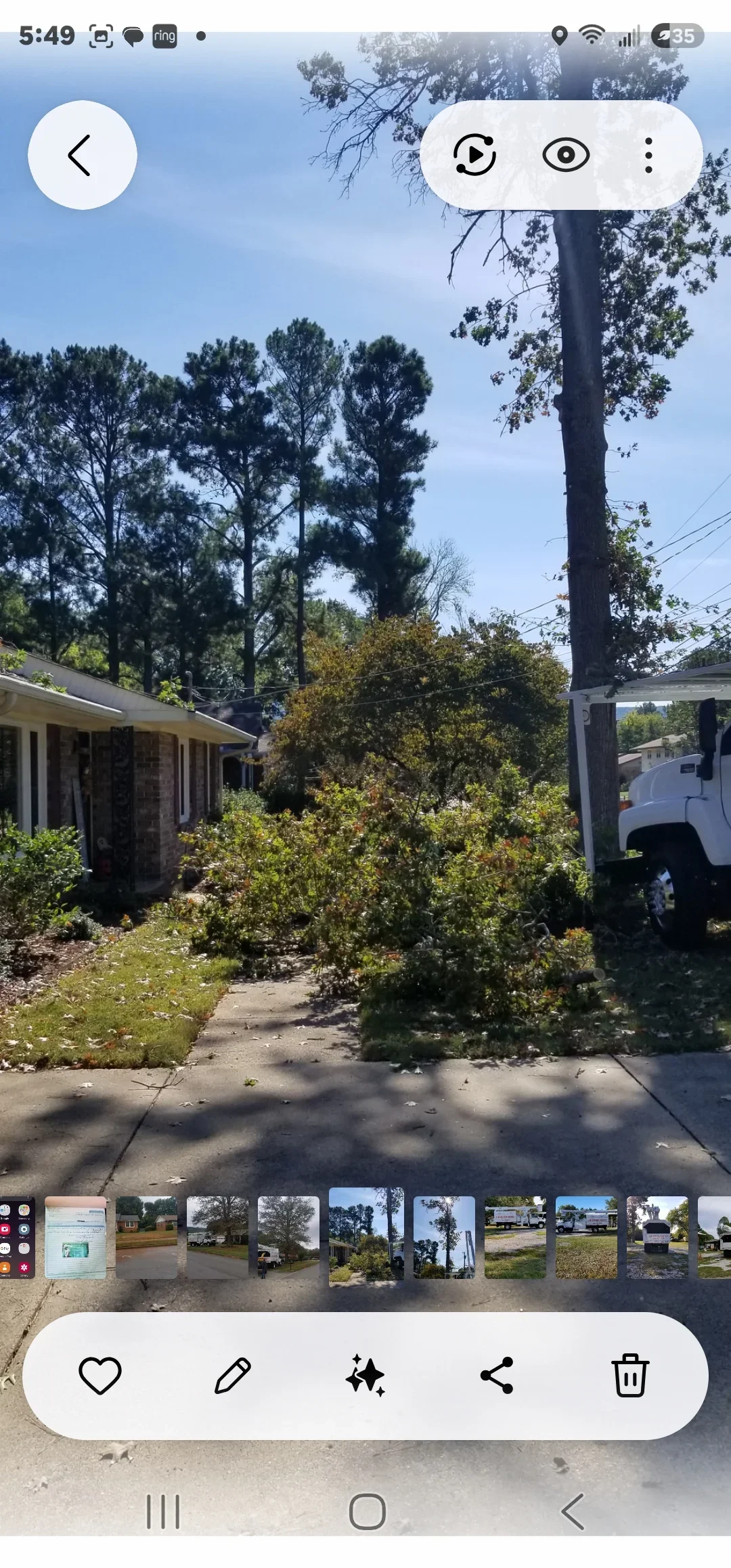 Large dead pine tree removed from residential property with utility truck and cleared yard visible