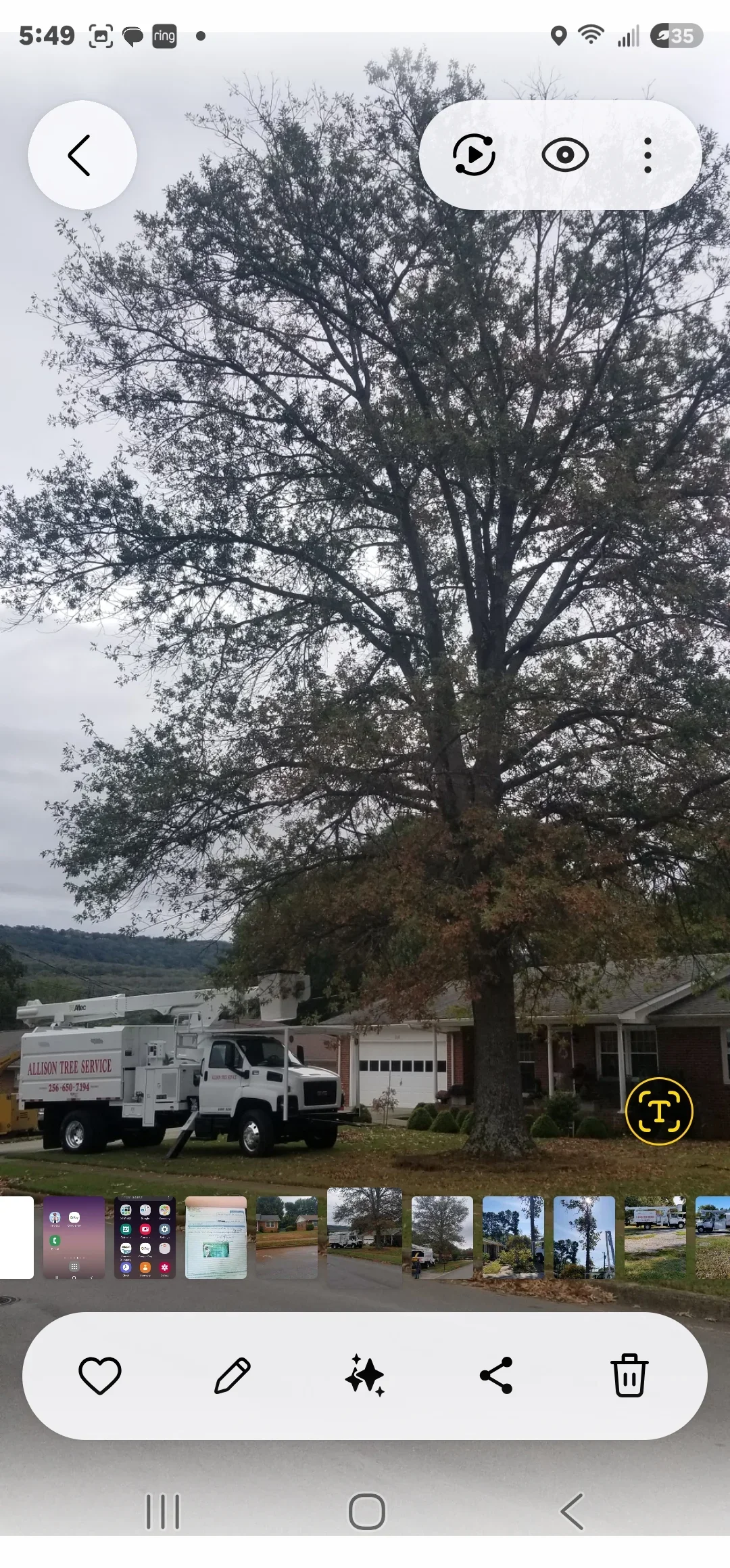 Large oak tree removal with Allison Tree Service truck at residential property