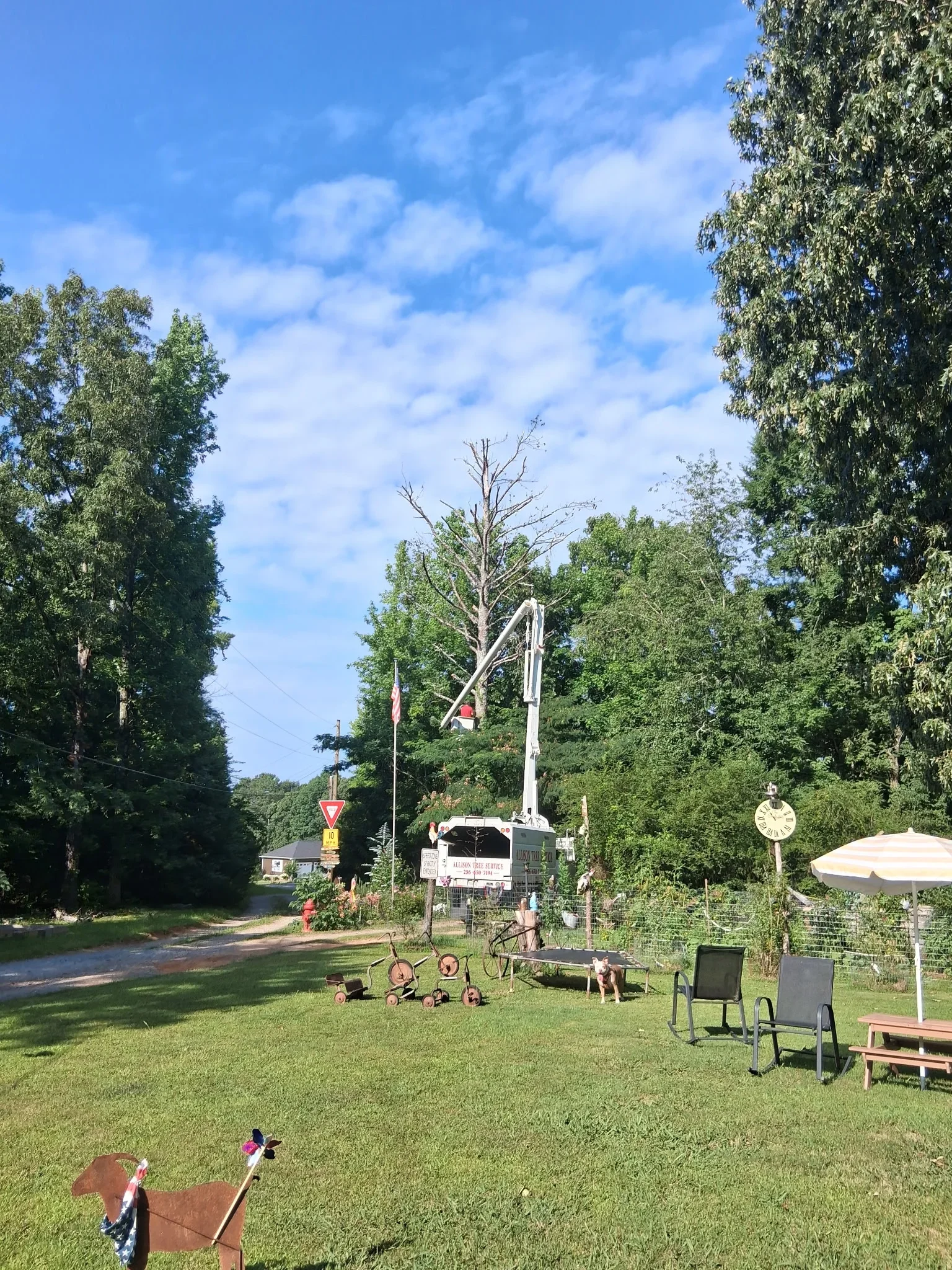 Residential property with removed dead tree, river view, and maintained lawn
